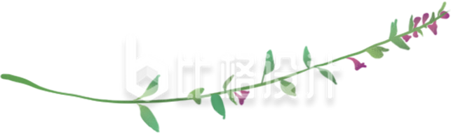 小花手绘植物