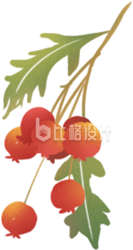 草药水果手绘