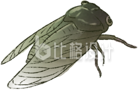 昆虫知了夏天手绘