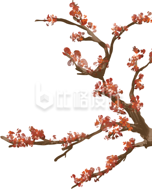 红色梅花树枝