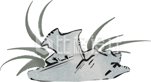 草丛