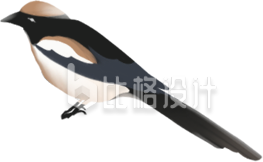 麻雀