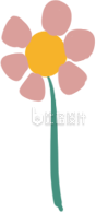 小花朵