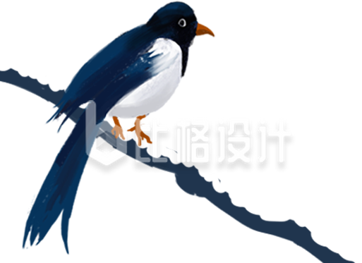 小鸟