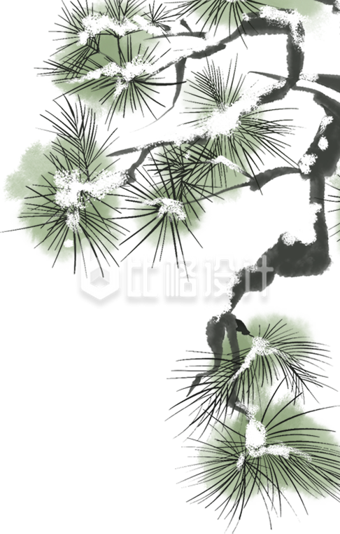 绿色松树树枝