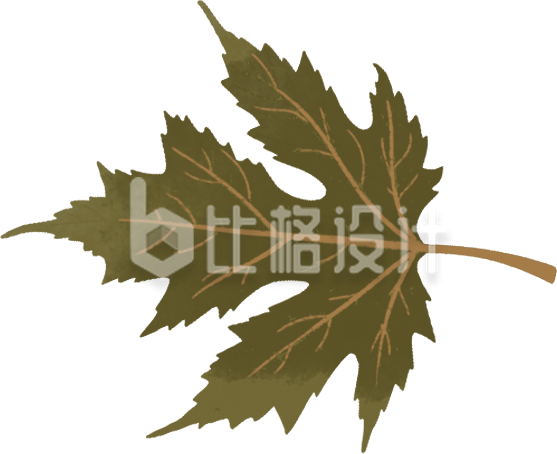 绿色枫叶