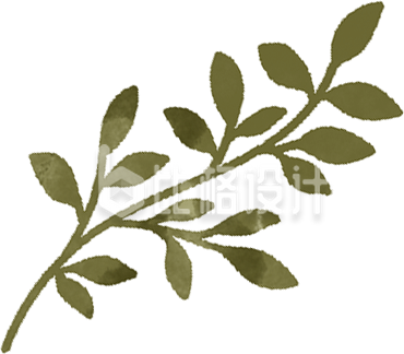 绿色树叶