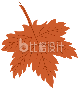 枫叶