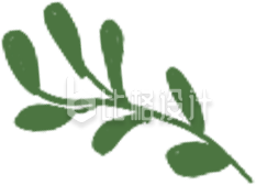 绿色树叶