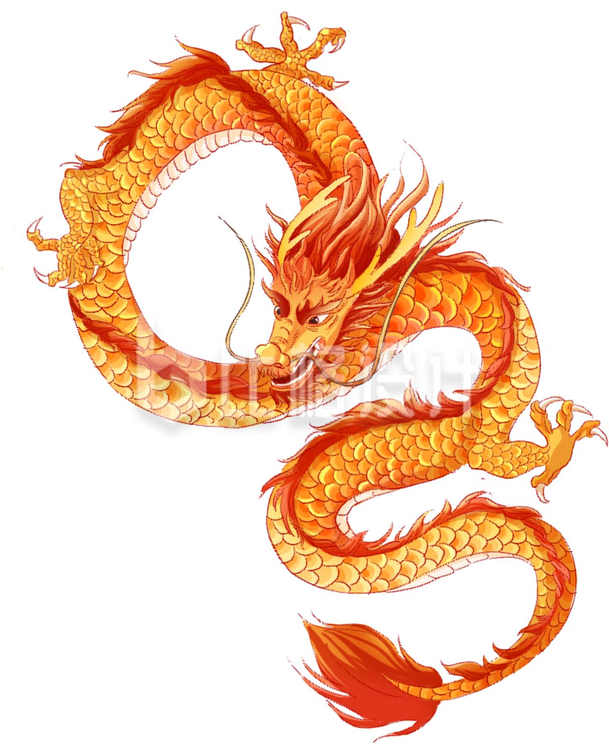 黄色龙手绘