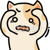 黄色可爱宠物猫咪震惊手绘表情包