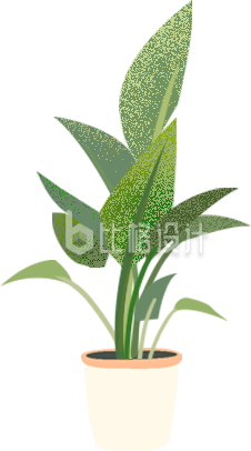 绿色清新盆栽绿植家居插画