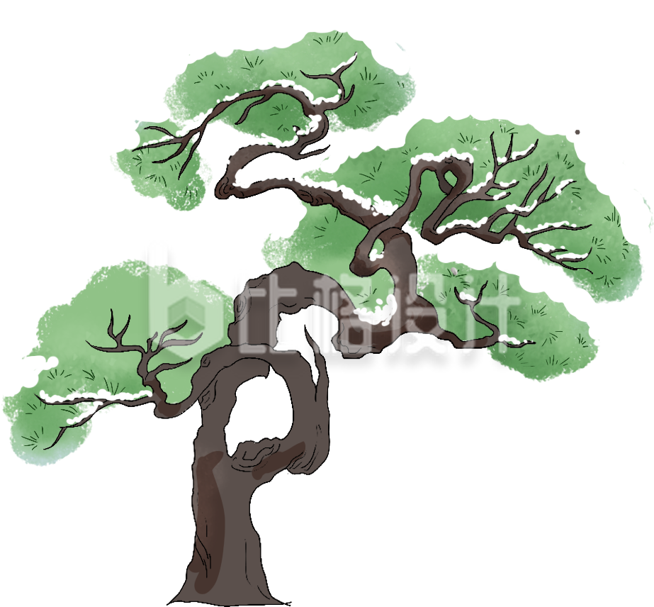绿色传统松树迎客松插画
