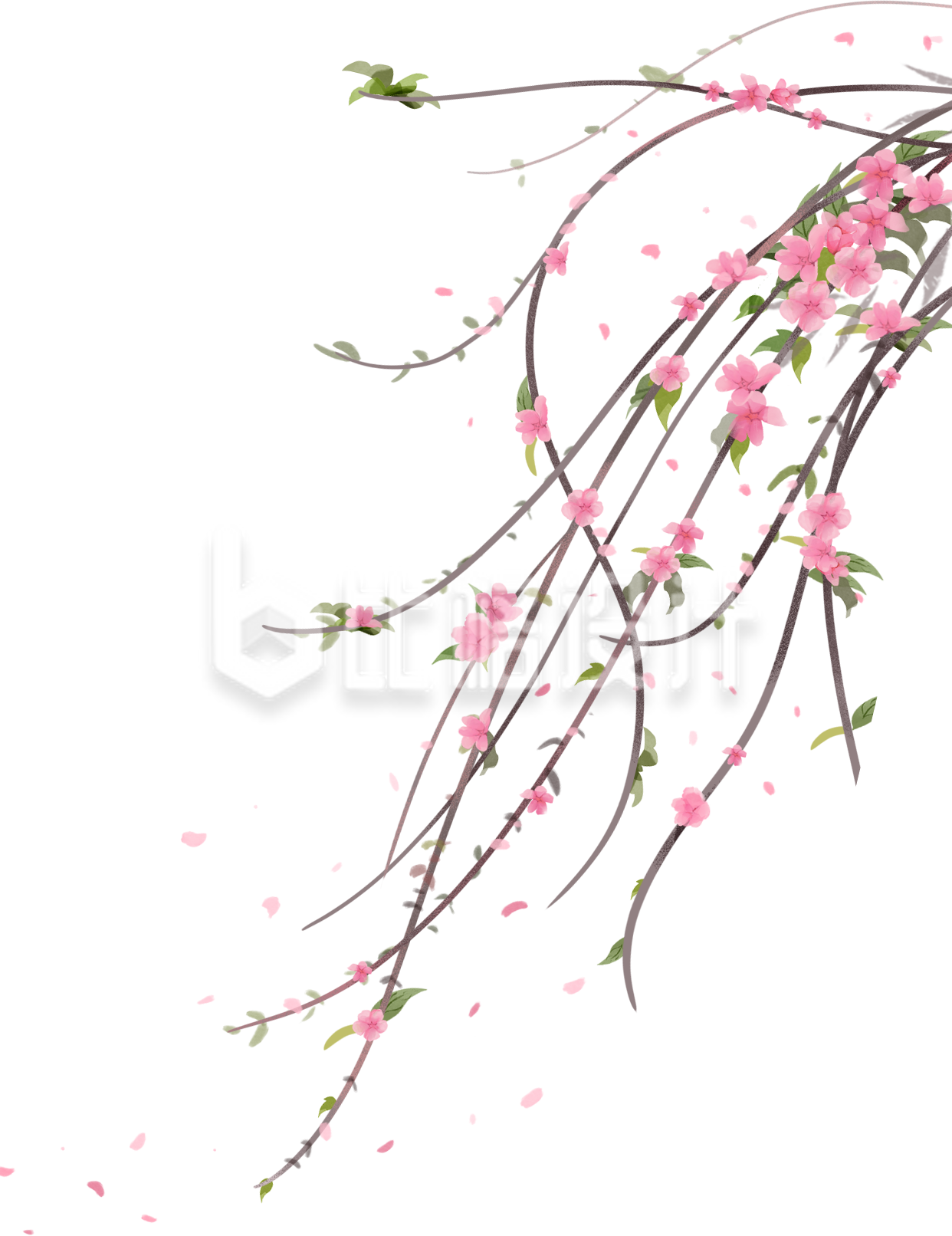 粉色树枝花朵插画春天
