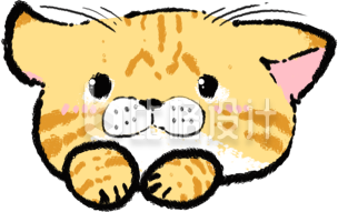 黄色猫咪插画表情包