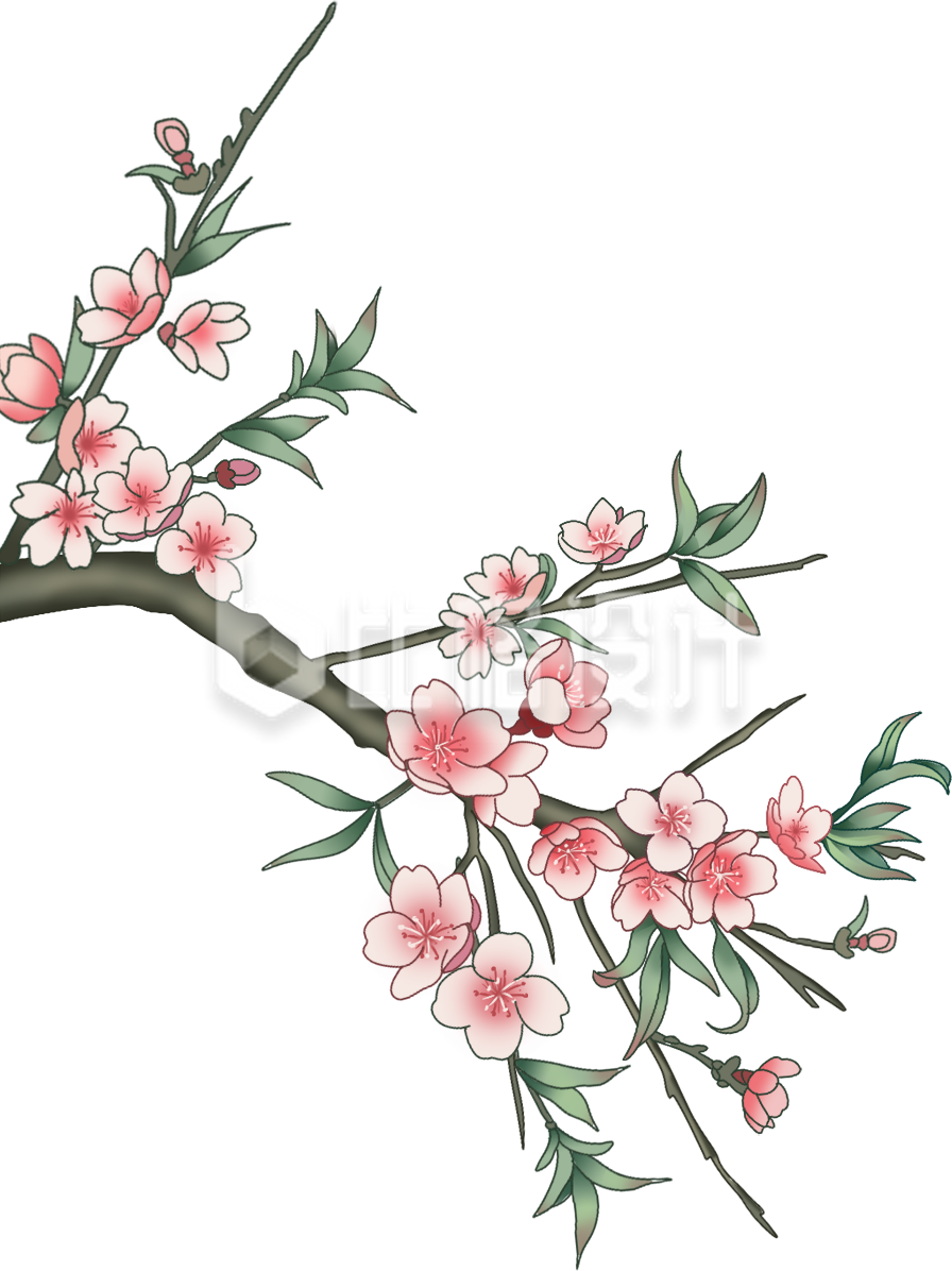 粉色桃花树枝春天