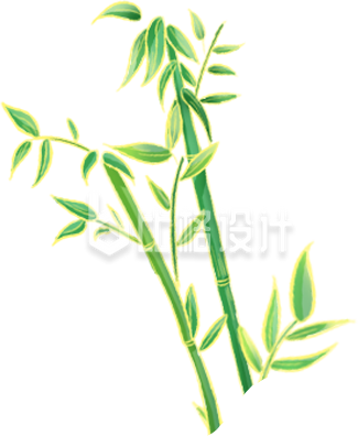 绿色竹叶插画