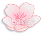 粉色手绘樱花插画春天花店 粉色手绘樱花插画春天花店