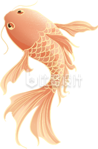 黄色可爱风金鱼插画