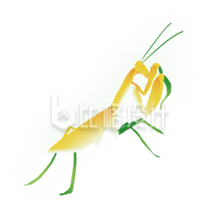 黄色可爱昆虫插画