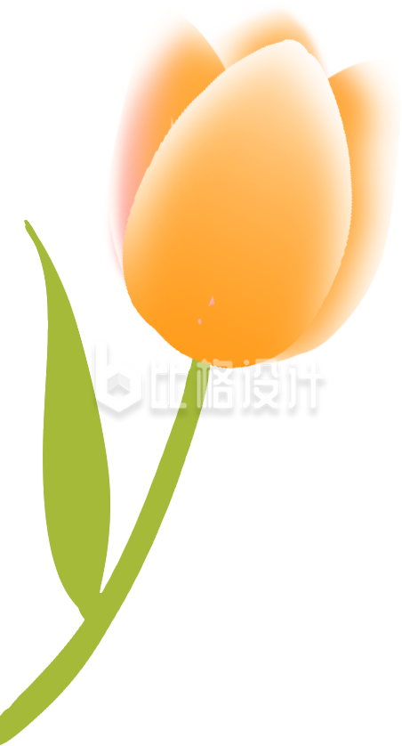 黄色手绘风植物郁金香插画