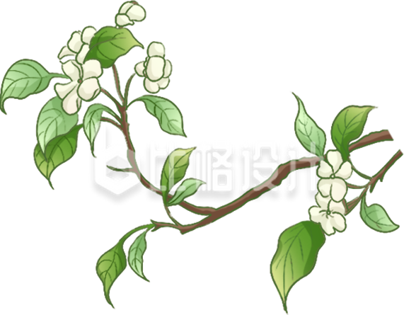 绿色手绘风树枝春天插画