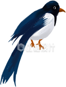 蓝色手绘风小鸟燕子插画