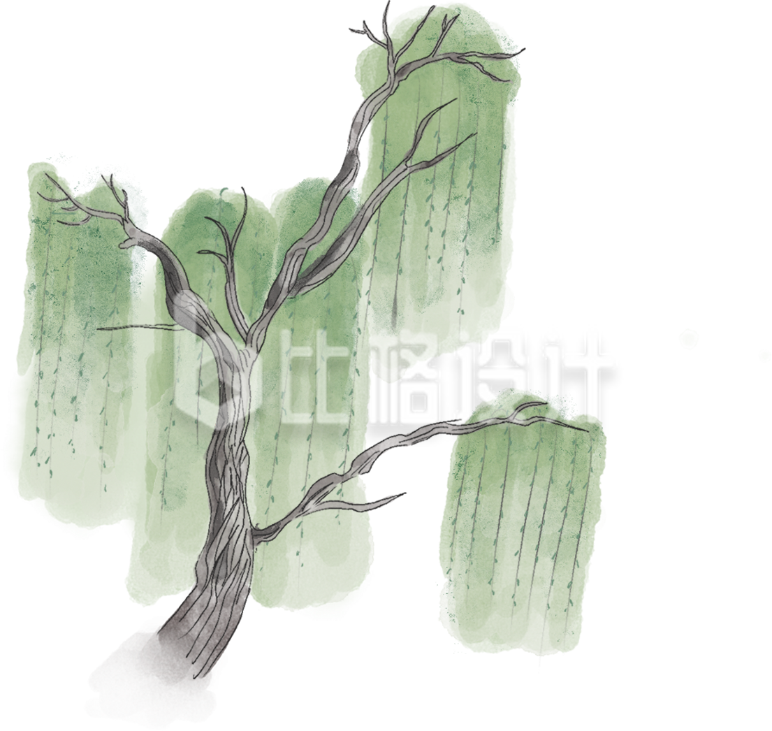 绿色手绘风插画柳树植物大树春天