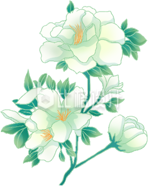 绿色植物花朵插画