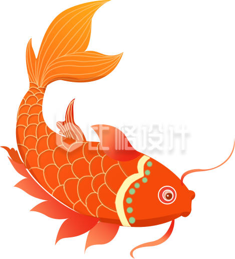 橙色手绘风锦鲤插画