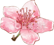 粉色手绘风桃花插画春季情人节赏花