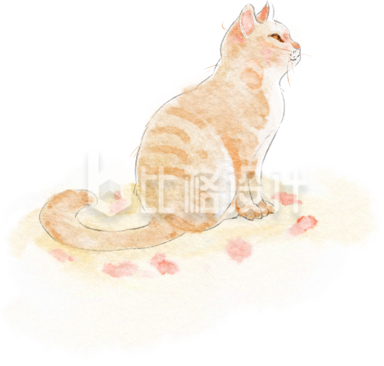 黄色手绘风猫咪插画