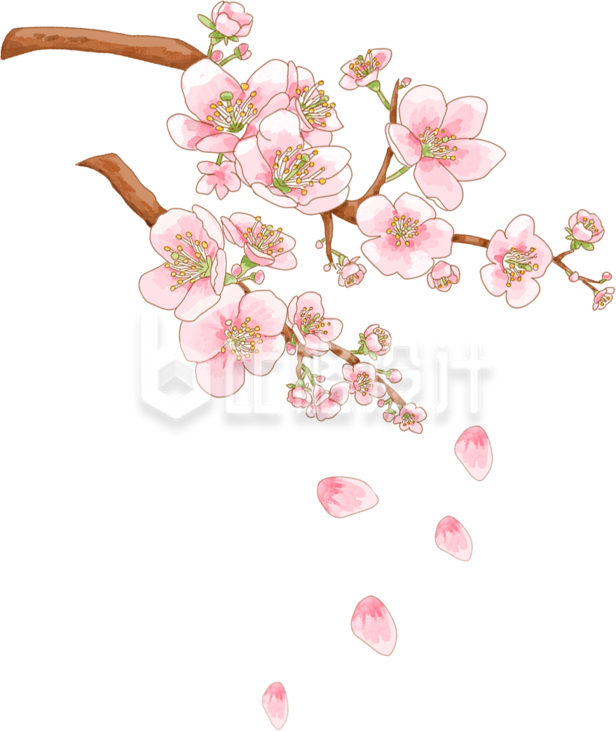 粉色手绘风花朵树枝插画春天立春春分