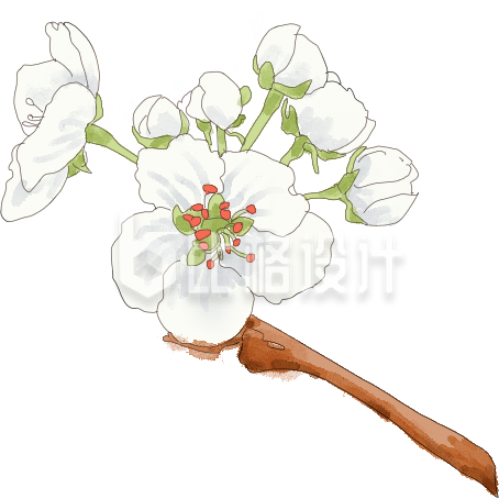 白色手绘风树枝花朵春季春风立春 白色手绘风树枝花朵春季春风立春