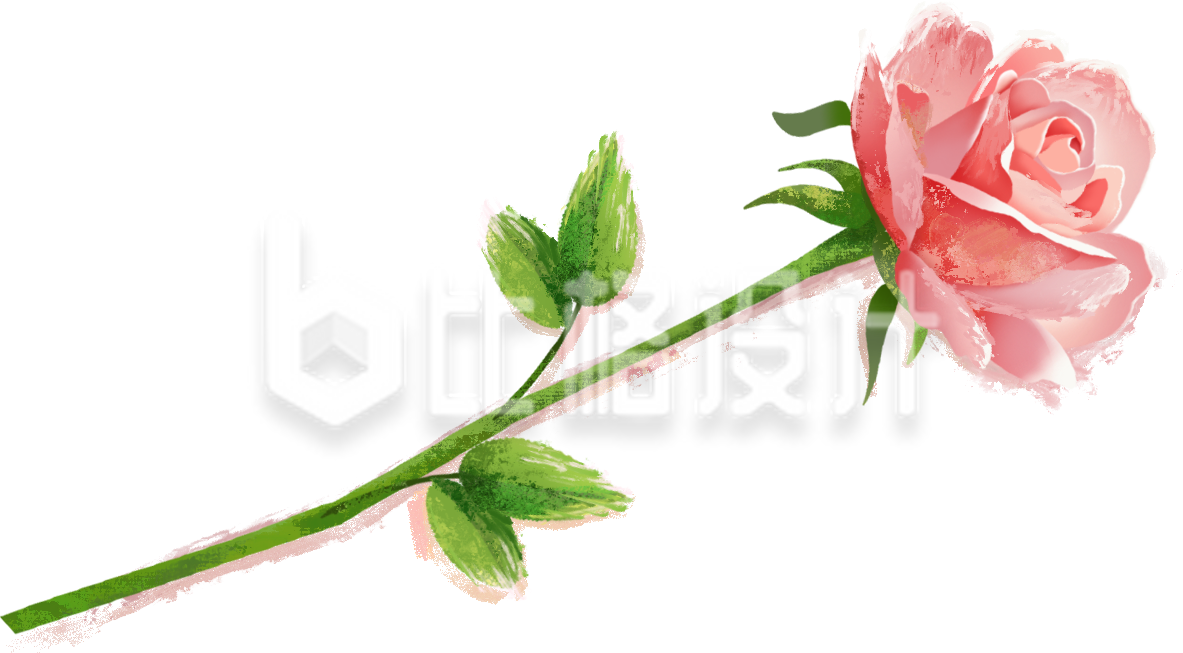 粉色手绘风玫瑰花朵情人节表白花店促销 粉色手绘风玫瑰花朵情人节表白花店促销