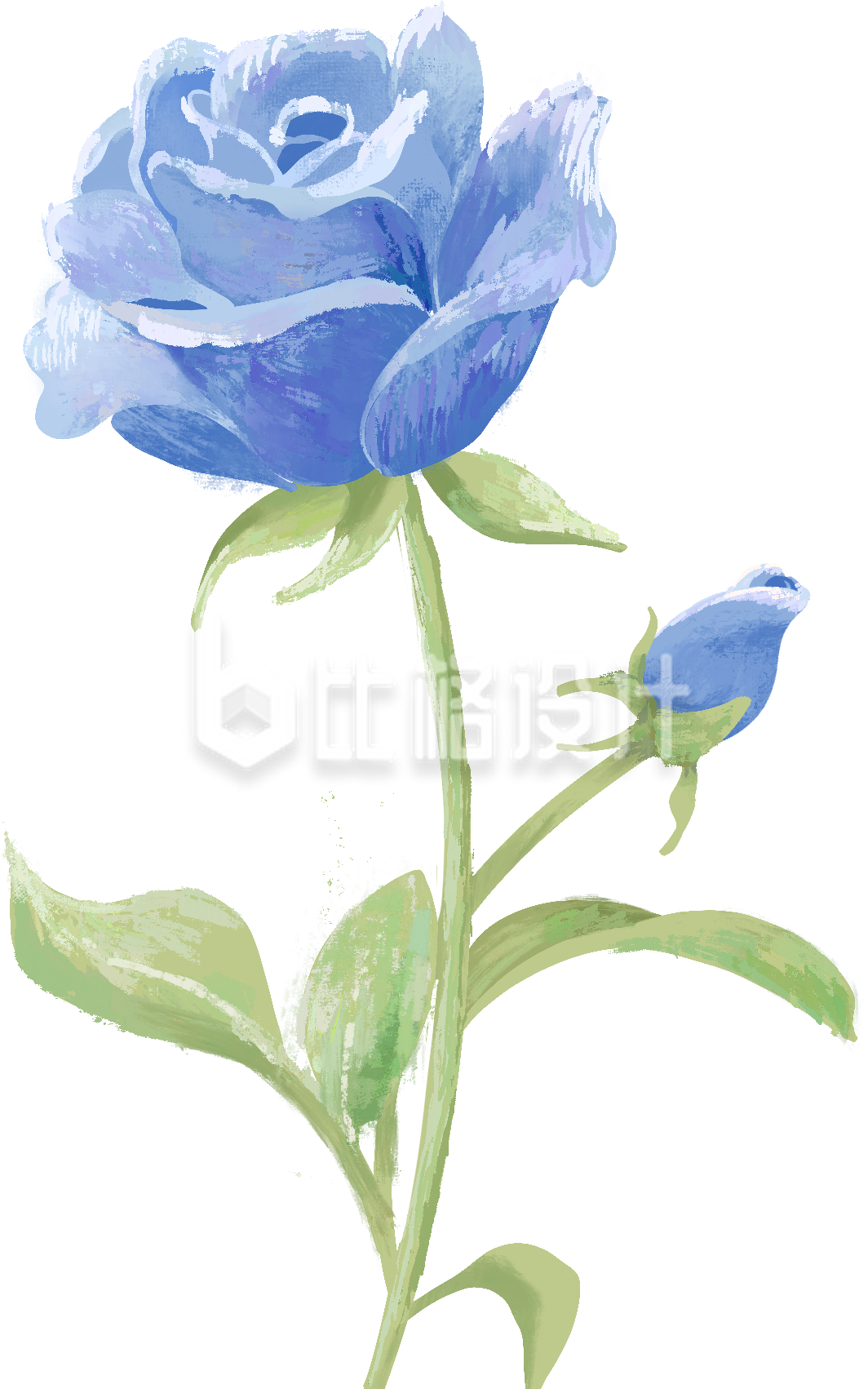 蓝色手绘风玫瑰花朵插画情人节花店促销插画