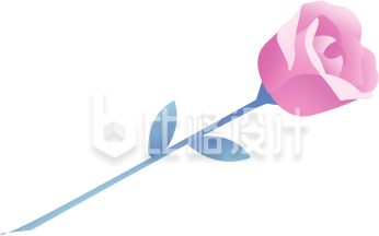 粉色手绘风玫瑰花朵情人节表白花店促销 粉色手绘风玫瑰花朵情人节表白花店促销