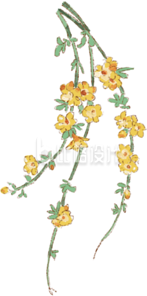 黄色手绘风树枝春天插画