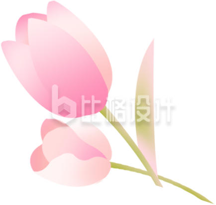 粉色手绘风郁金香花朵插画 粉色手绘风郁金香花朵插画