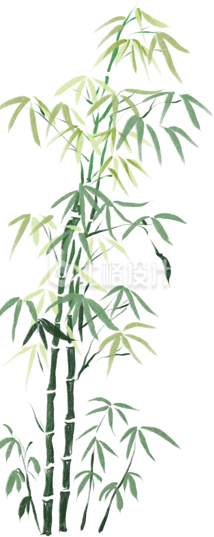 绿色手绘风竹插画春季