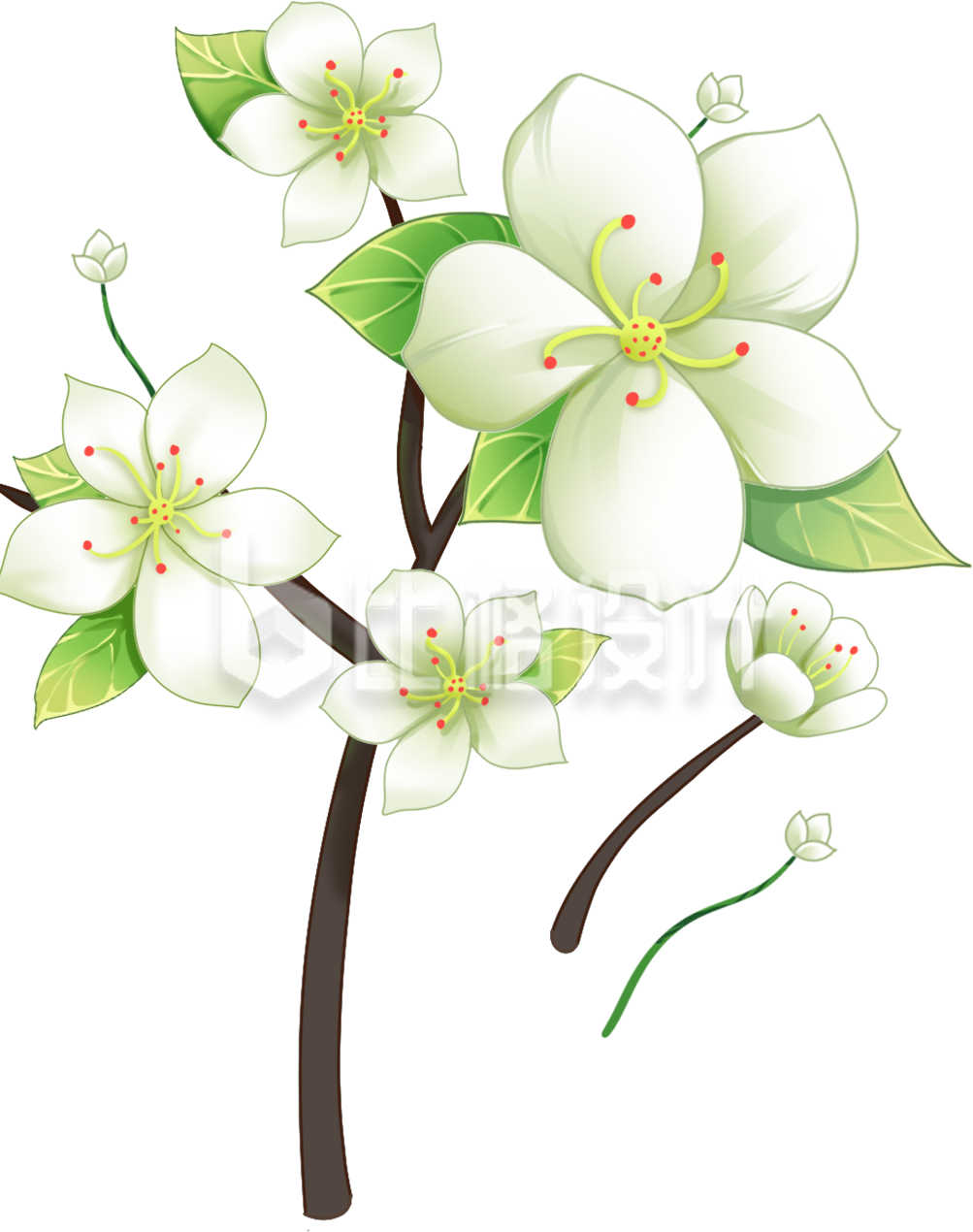 绿色手绘风小花朵插画春分立春