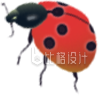 红色手绘风瓢虫昆虫幼儿园教育自然插画
