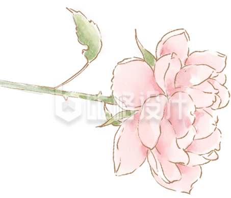 粉色手绘风花朵插画表白