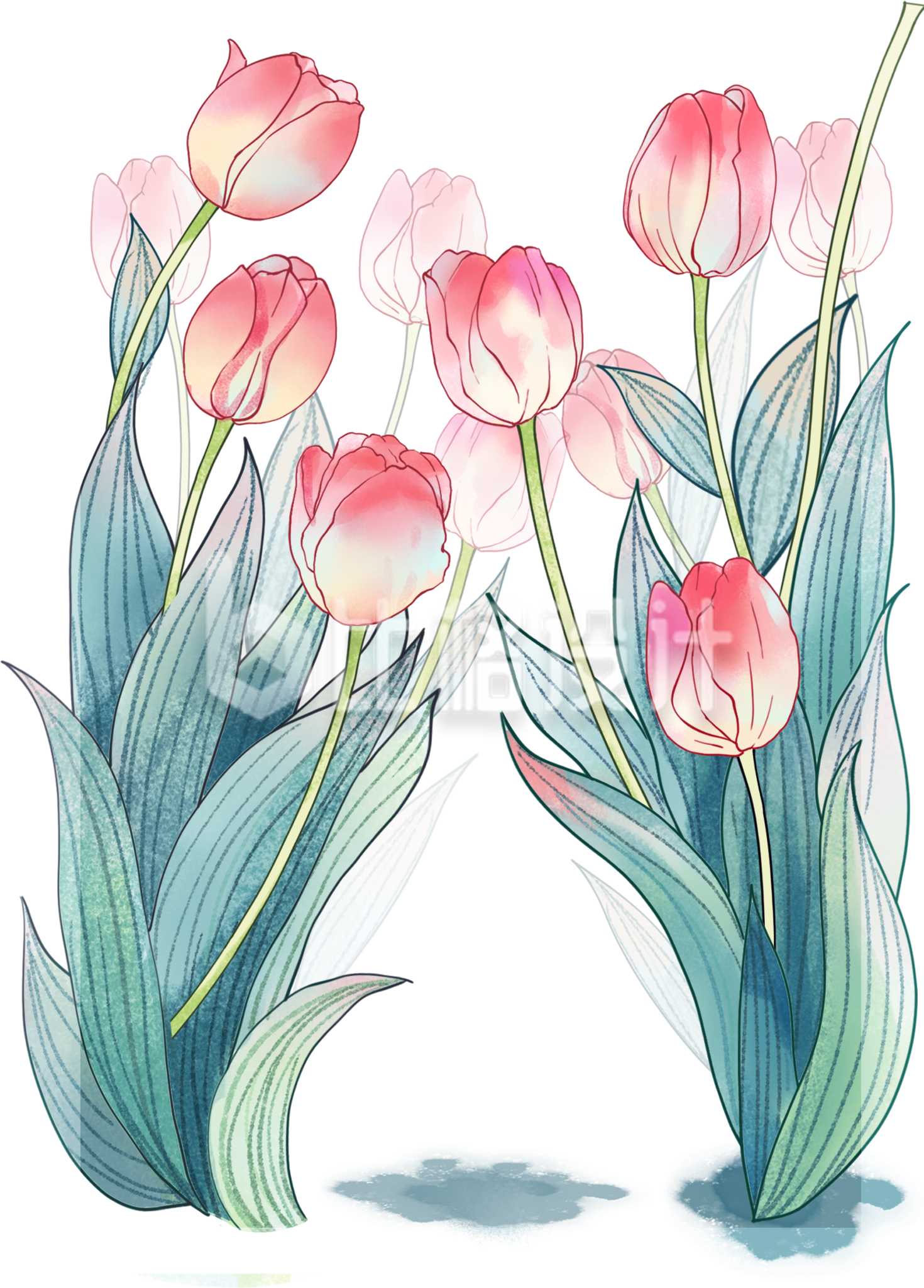 绿色手绘风植物花朵郁金香插画春天 绿色手绘风植物花朵郁金香插画春天