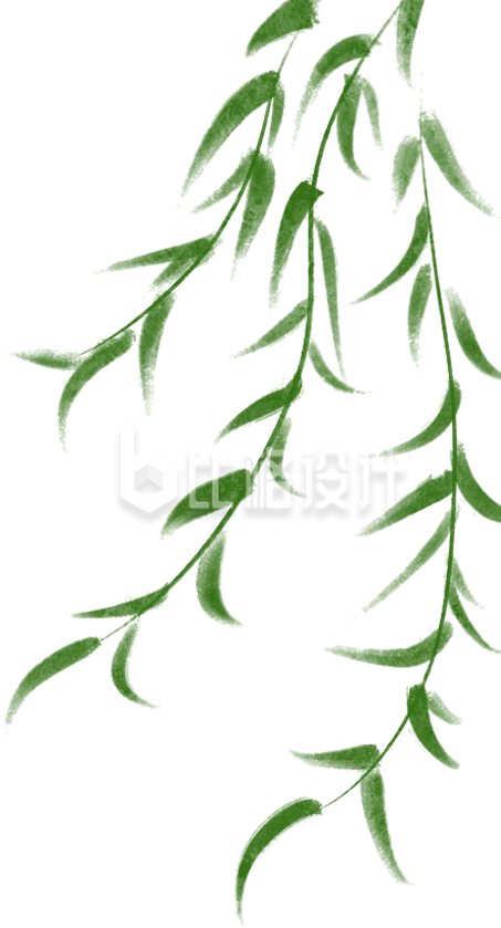 绿色手绘风春季柳树柳条插画