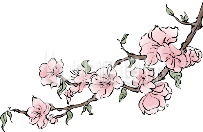 粉色手绘风桃花树枝春天插画