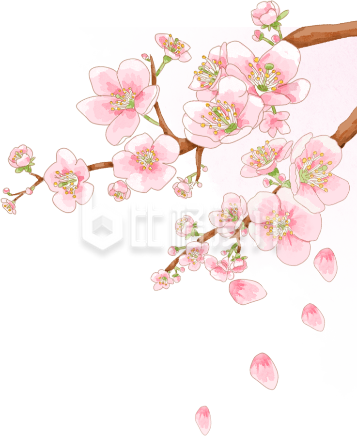 粉色手绘风桃花树枝春天插画