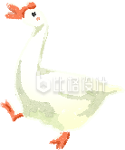 黄色手绘风鹅插画