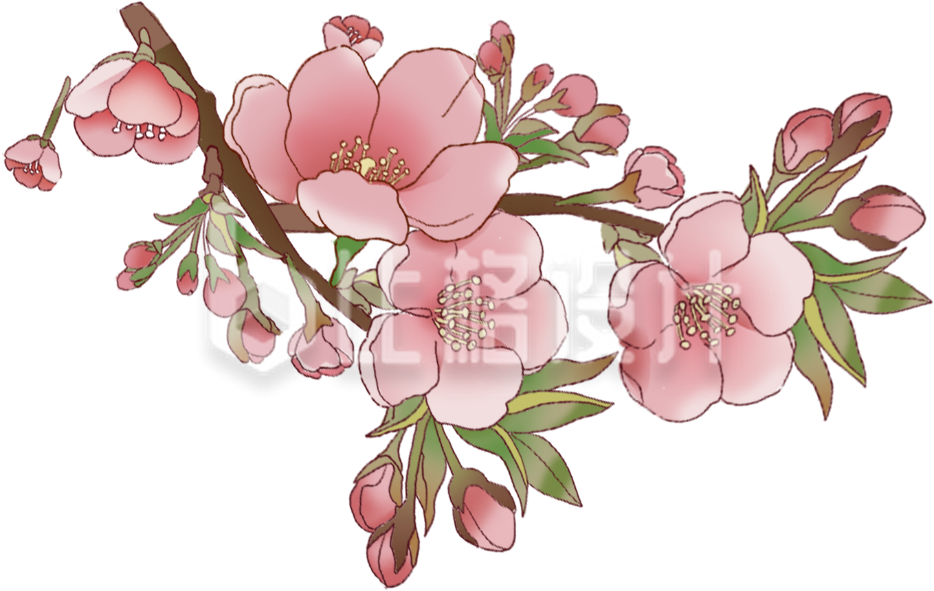 粉色手绘风桃花插画春季情人节赏花