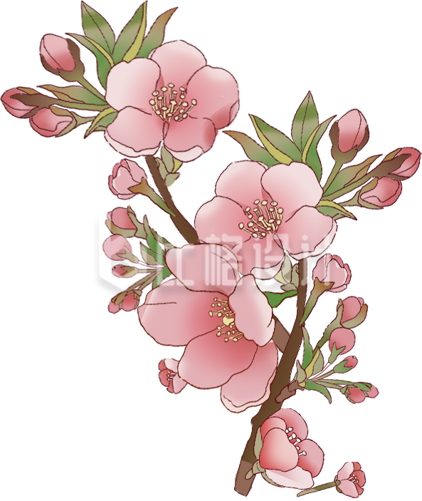粉色手绘风桃花插画春季情人节赏花